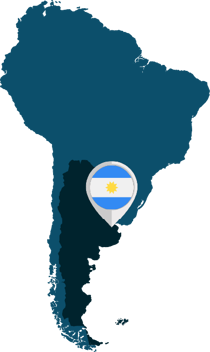 netsuite-argentina-localizacion
